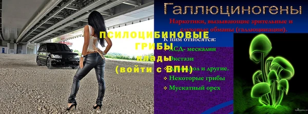 гашик Армянск