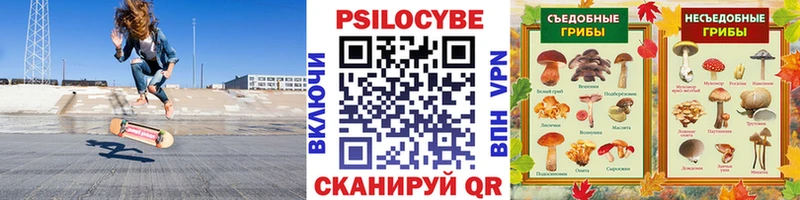 Псилоцибиновые грибы ЛСД  blacksprut сайт  Олонец 